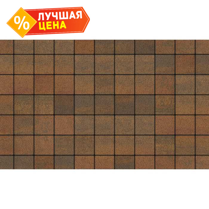 Плитка тротуарная Квадрат (ЛА-Линия) Б.3.К.6 Листопад гранит Арабская ночь 100x100x60 мм